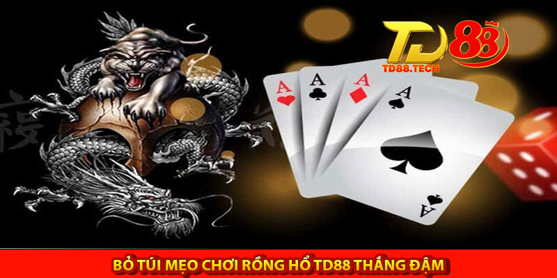 Rồng Hổ TD88 Và Cập Nhật Cách Chơi Hiệu Quả Cho Anh Em 6 Bỏ túi mẹo chơi Rồng Hổ TD88 thắng đậm