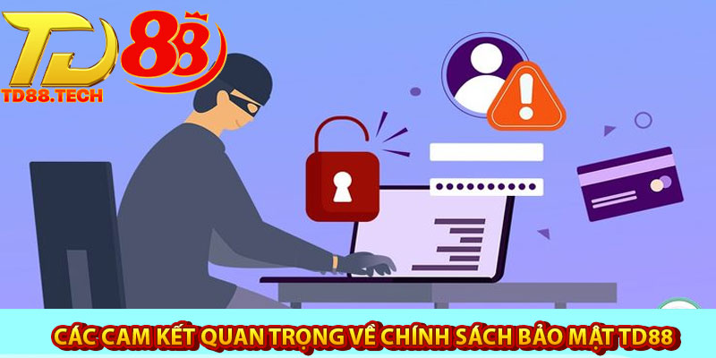Chính Sách Bảo Mật TD88 – Cam Kết Bảo Vệ Mọi Thông Tin 6 Các cam kết quan trọng về chính sách bảo mật TD88