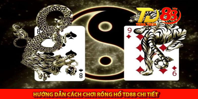 Rồng Hổ TD88 Và Cập Nhật Cách Chơi Hiệu Quả Cho Anh Em 5 Hướng dẫn cách chơi Rồng Hổ TD88 chi tiết