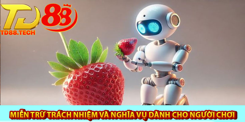 Miễn trừ trách nhiệm TD88 – Điều người mới cần nắm bắt 6 Miễn trừ trách nhiệm và nghĩa vụ dành cho người chơi tại TD88
