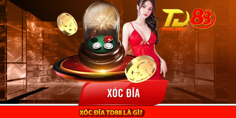 Cách Chơi Xóc Đĩa TD88 Cơ Bản Và Hiệu Quả Cho Tân Thủ 4 Xóc Đĩa TD88 là gì?